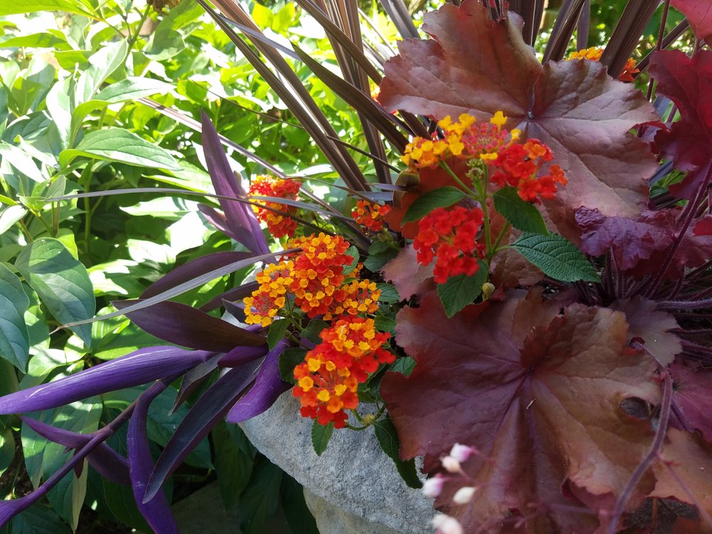 Photo of Philadelphia Garden Inc.