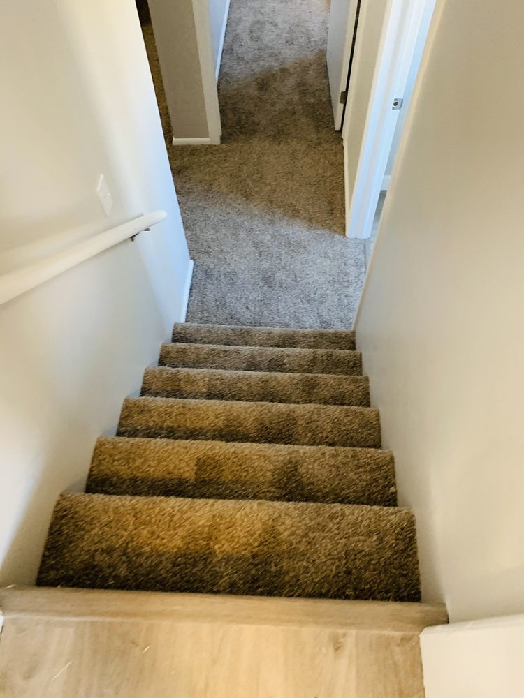 Photo of Vama Flooring
