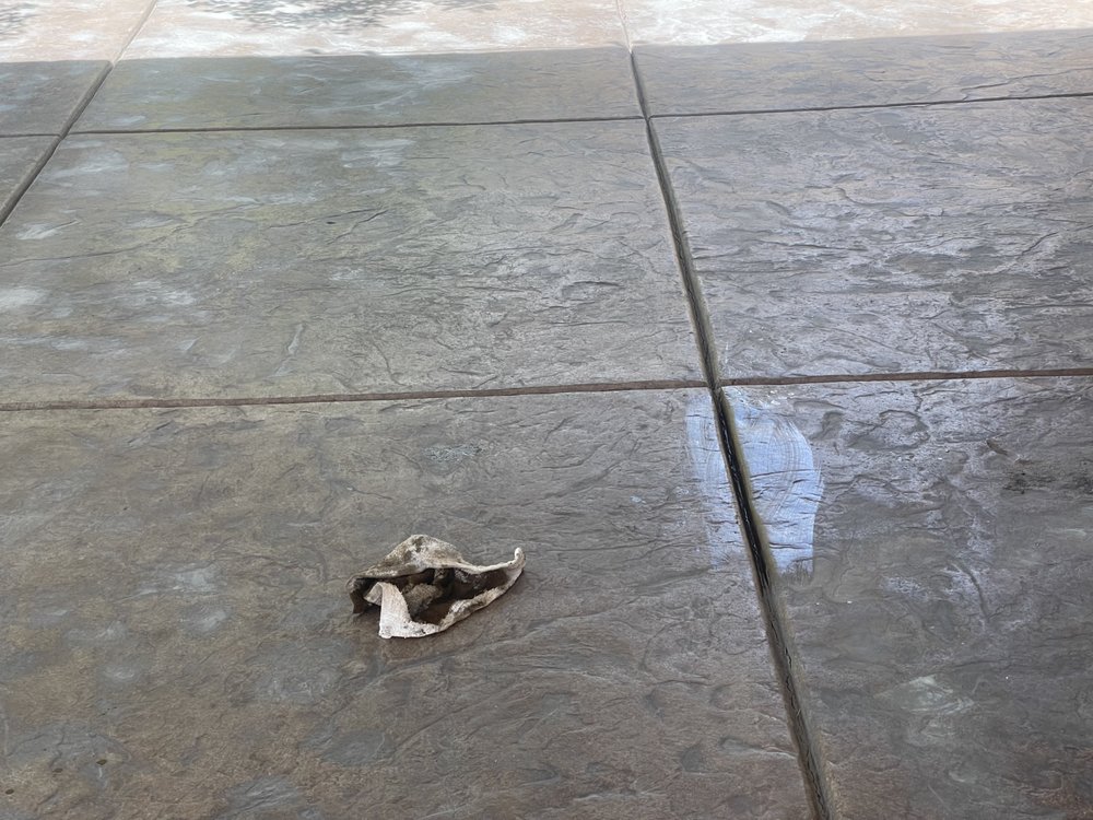 Photo of Concrete Restored