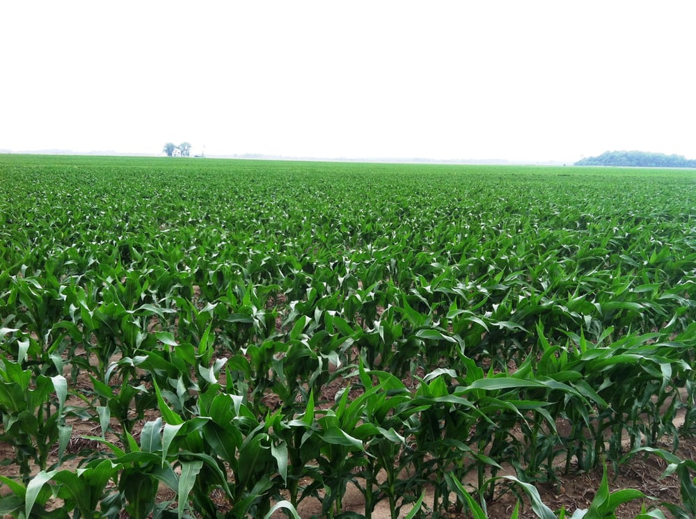 Photo of American Farmland Investments