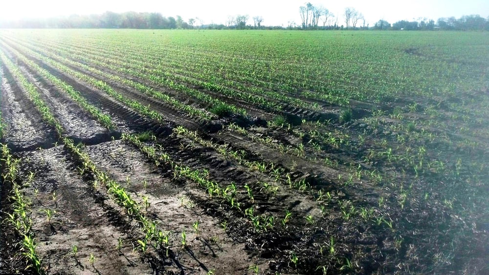 Photo of American Farmland Investments