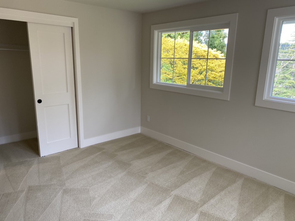 Photo of Carpet Cleaning Time