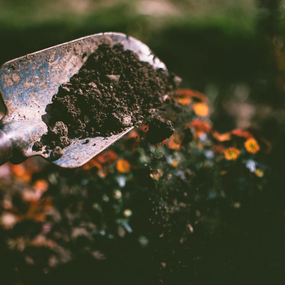 Photo of Landscaping Pros El Cajon