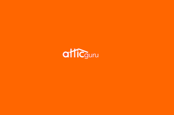 Photo of Attic Guru