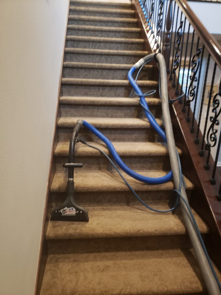 Photo of Extreme Carpet Care