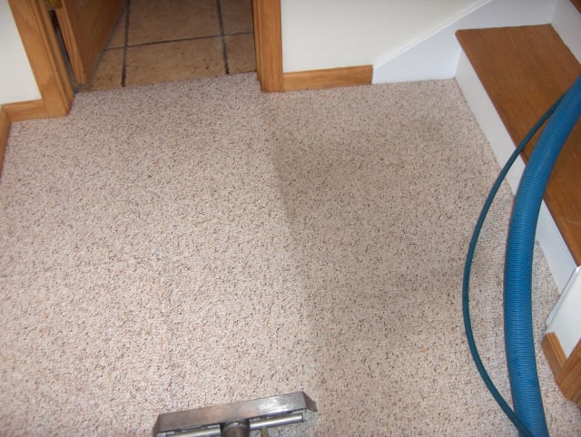 Photo of Pristine Carpet Cleaning