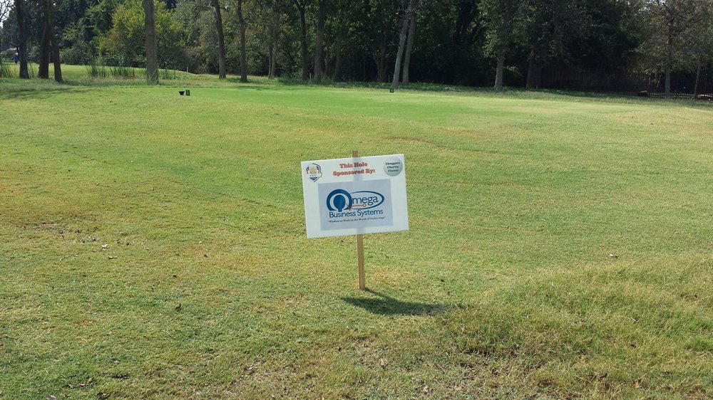 Photo of Omega Business Systems