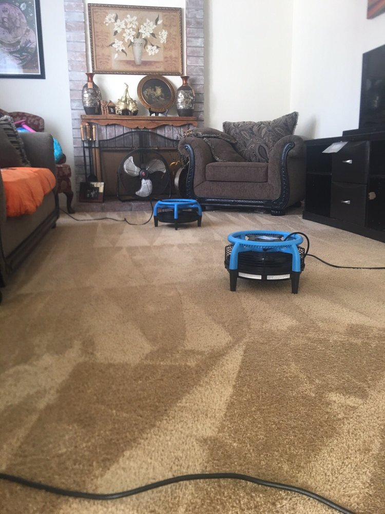 Photo of Young's Carpet Cleaning