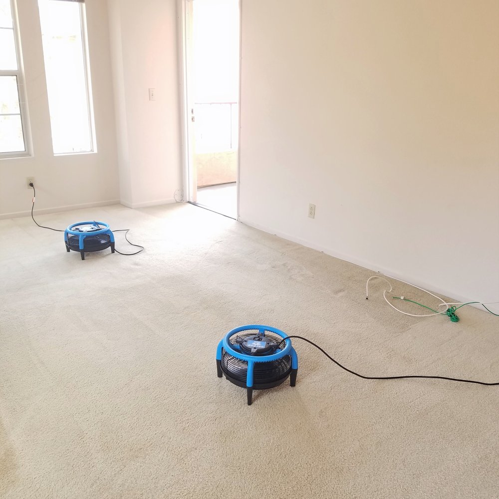 Photo of Young's Carpet Cleaning