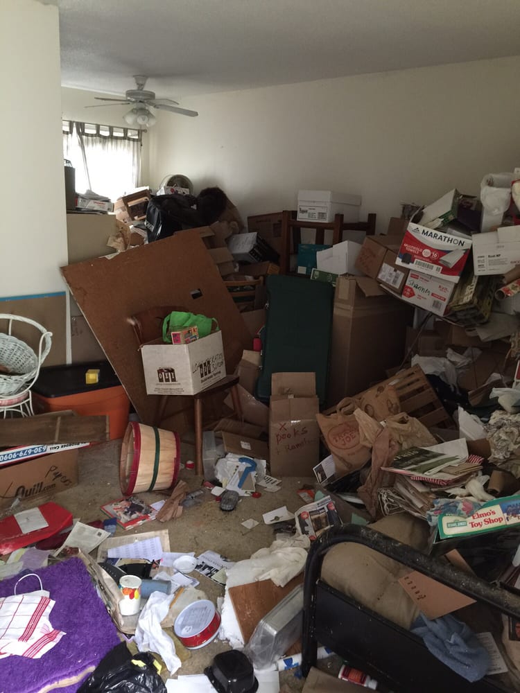 Photo of Lizards Junk Removal
