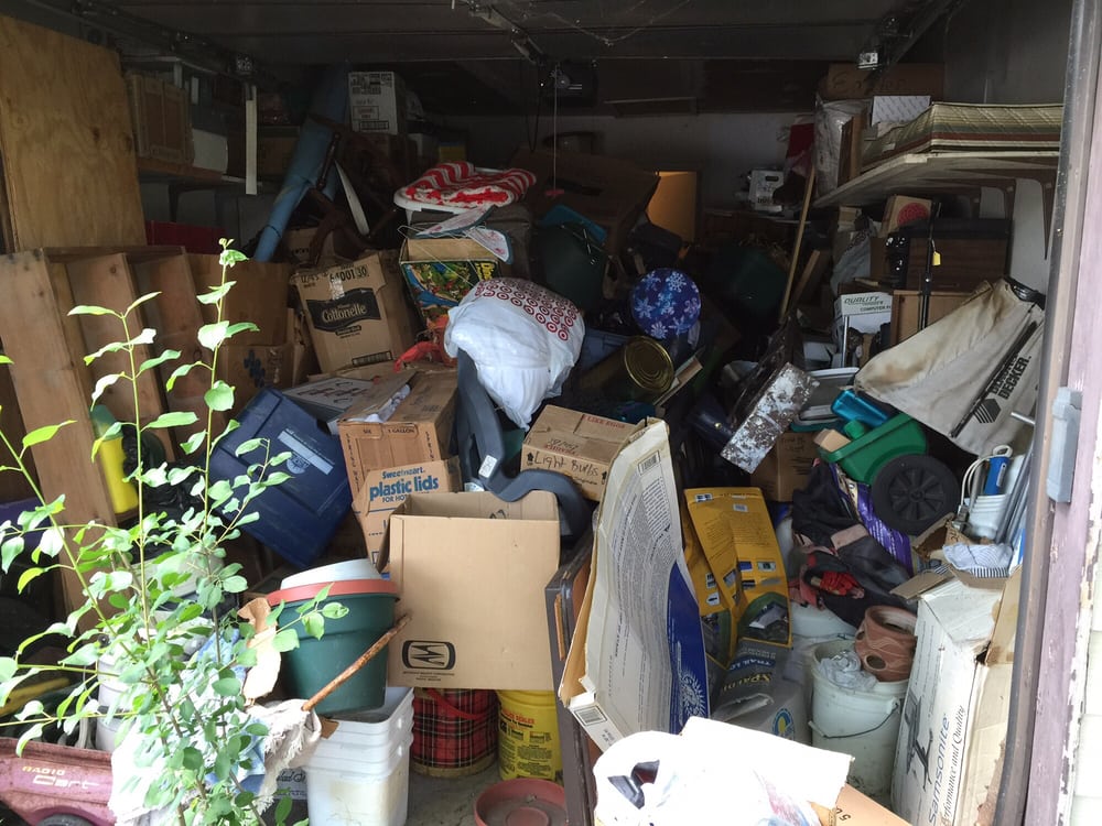 Photo of Lizards Junk Removal