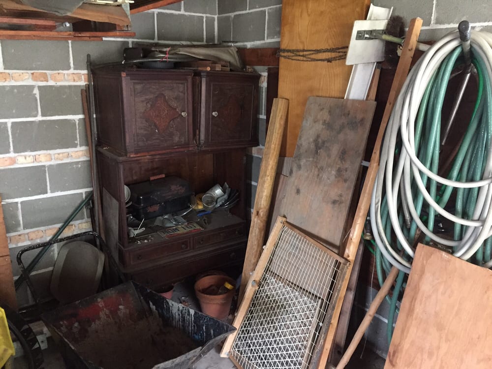Photo of Lizards Junk Removal