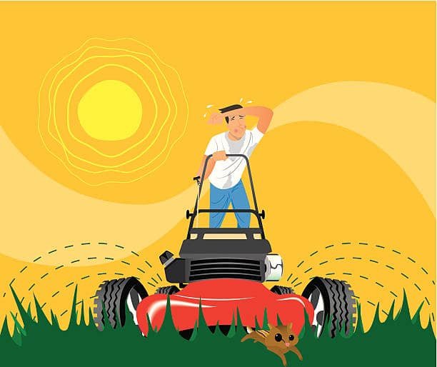 Photo of Nanz Lawn Care