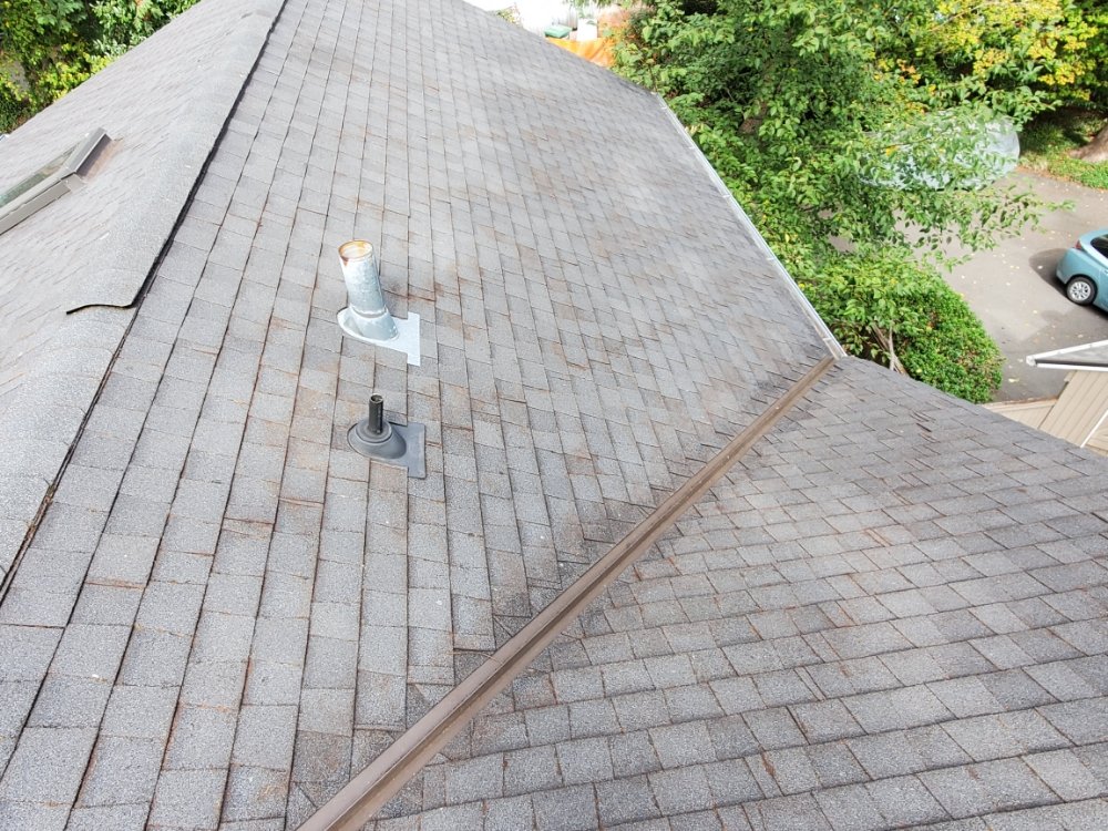 Photo of Exterior Shine