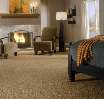 Photo of Affordable Carpet & Upholstery Cleaning
