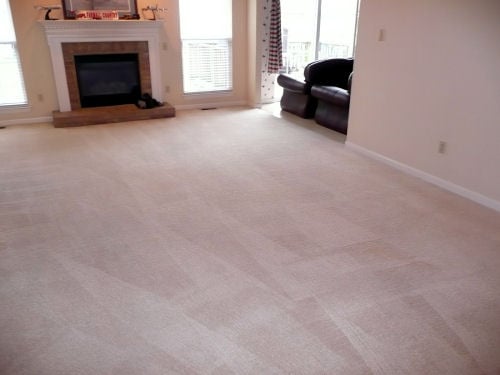 Photo of Affordable Carpet & Upholstery Cleaning