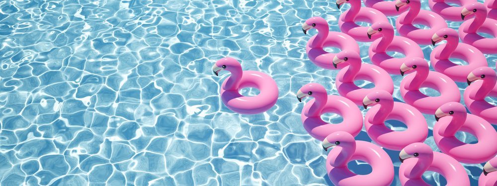 Photo of Pink Flamingo Pool Company