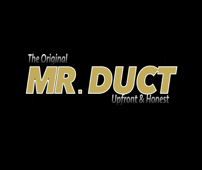 Photo of Mr. Duct