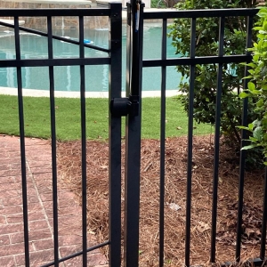 Charlotte The Doctor Fence