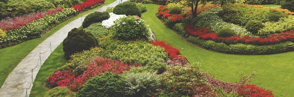 Photo of Boochee Lawn Care