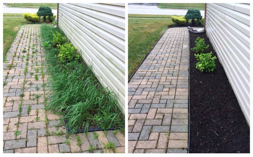 Photo of American Artists Landscaping