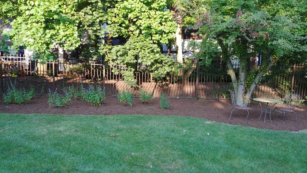 Photo of American Artists Landscaping