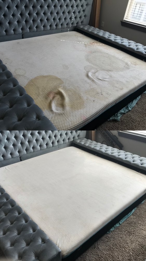 Photo of Mr. Spotless Services