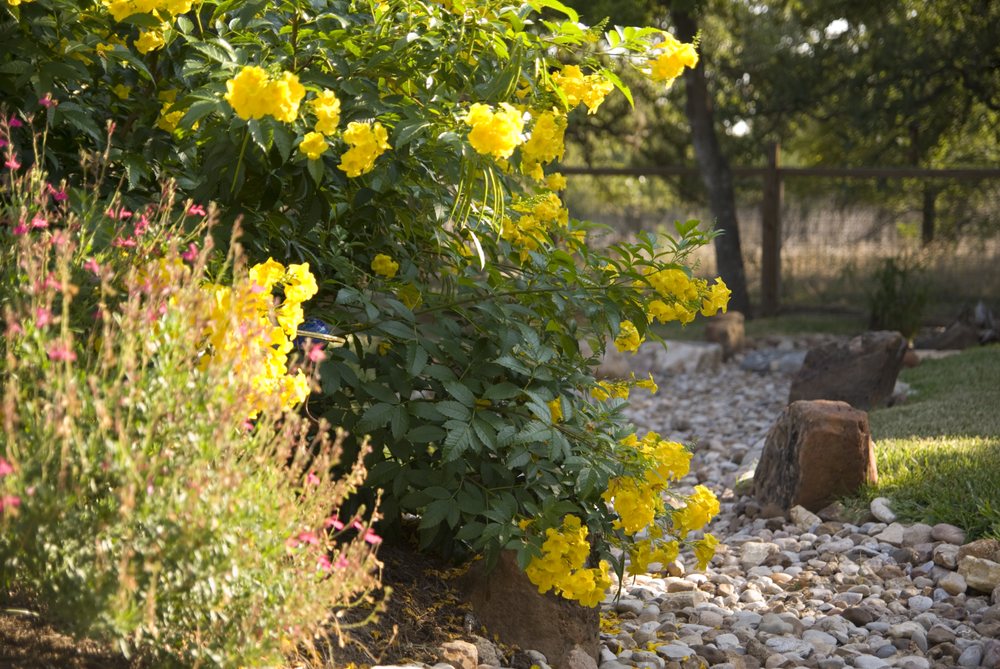 Photo of Austin Landscape and Design