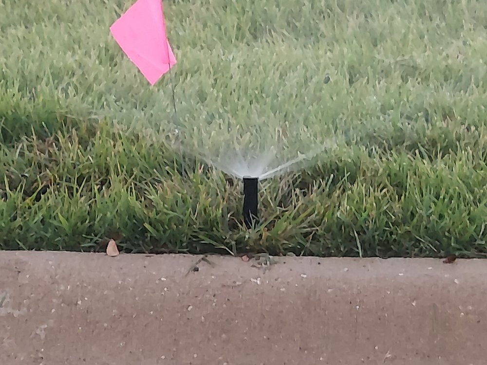 Photo of Total Lawn and Sprinkler