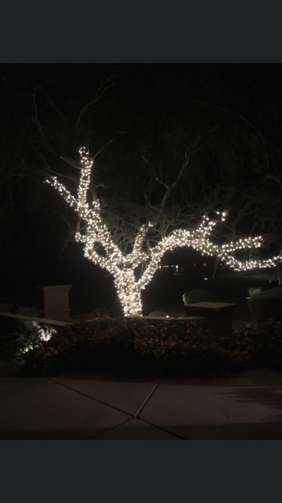 Photo of Az Holiday Lighting