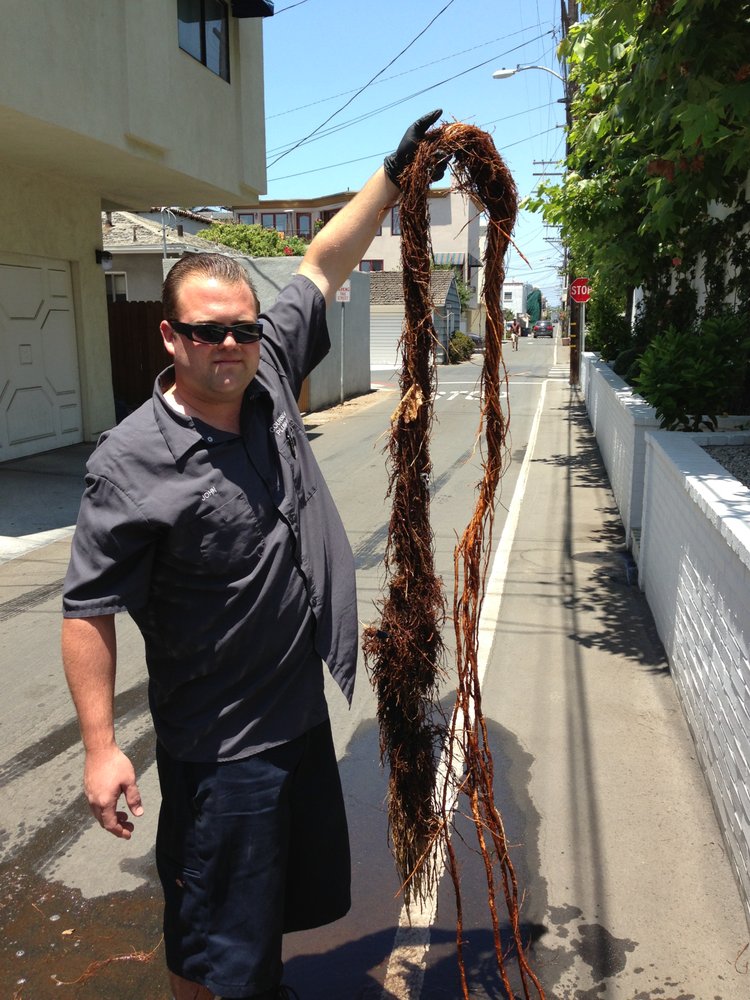 Photo of Courselle Plumbing