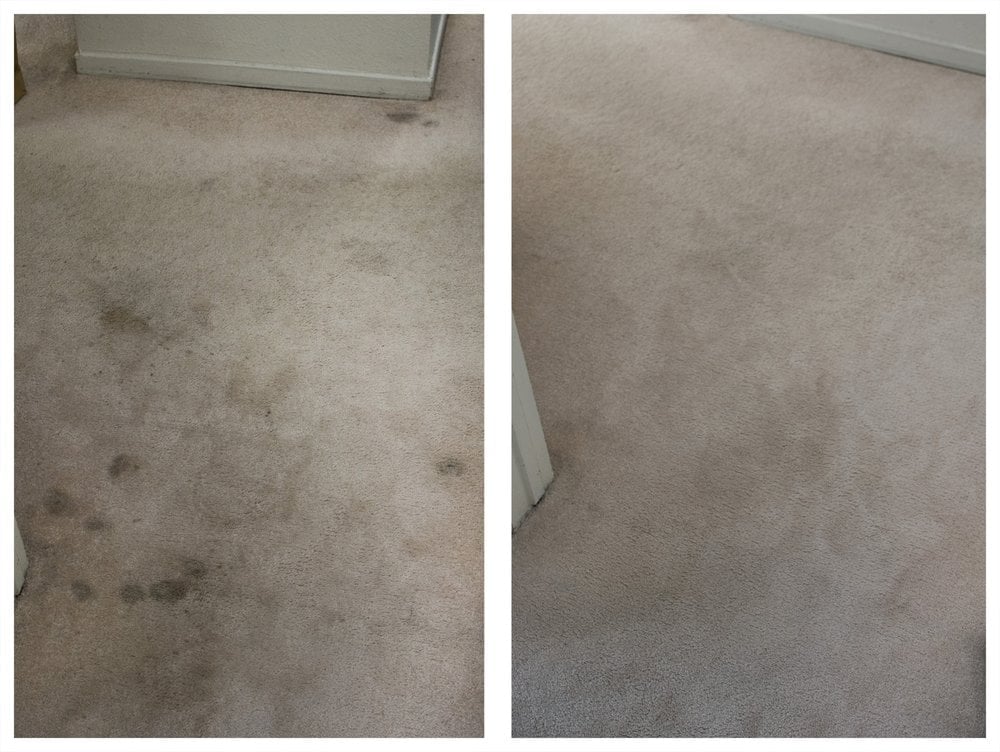 Photo of Red Rugs Carpet Cleaning