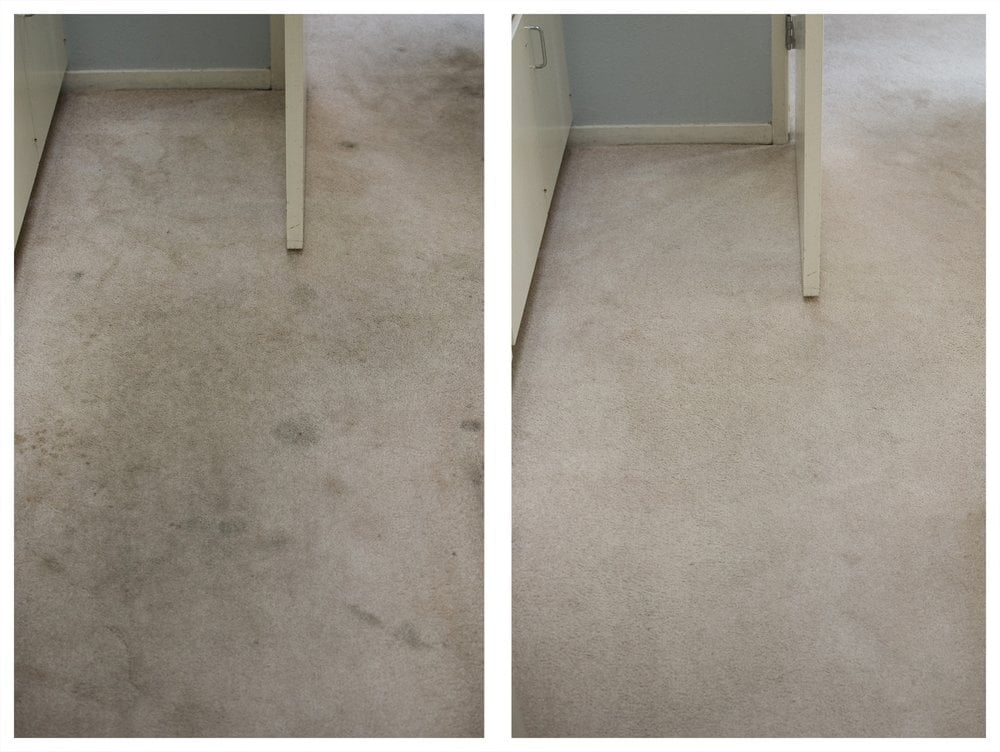 Photo of Red Rugs Carpet Cleaning