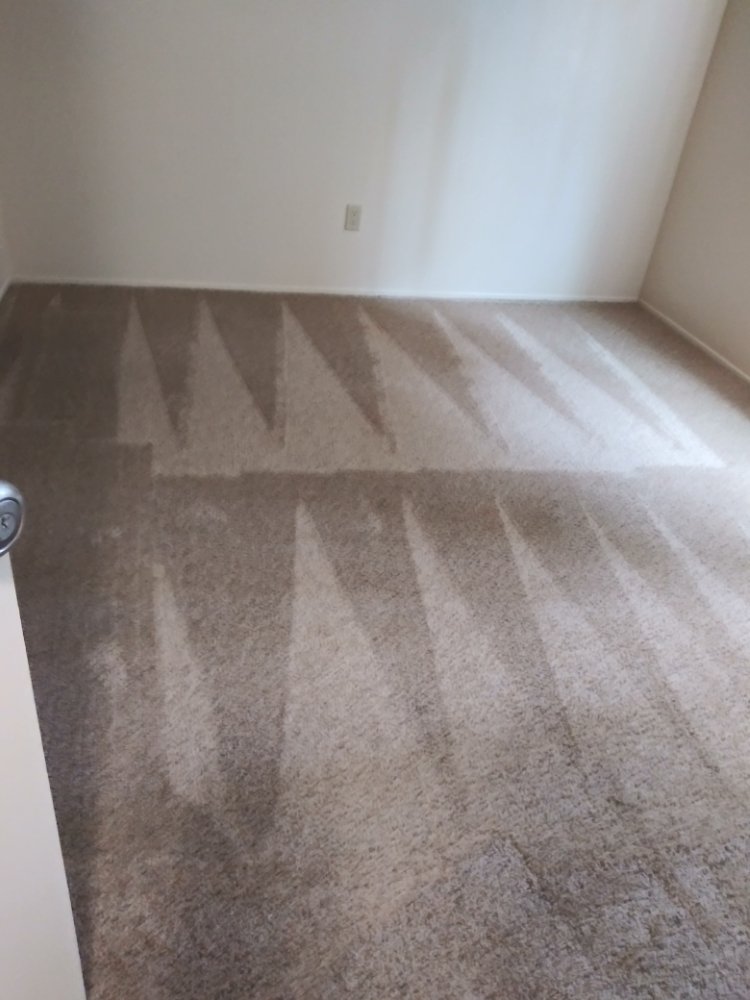 Photo of Thorough House Cleaning & Janitorial Services