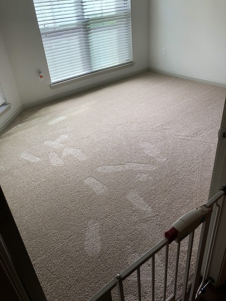 Photo of WilTek Carpet Cleaning