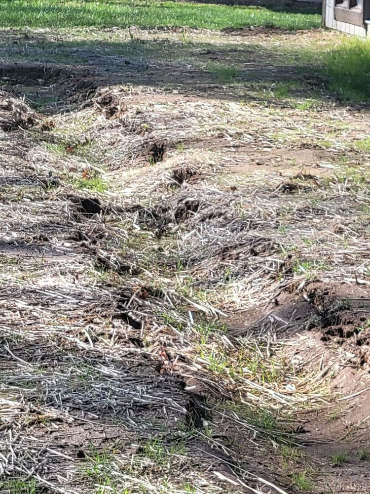 Photo of Adams Foundation Repair