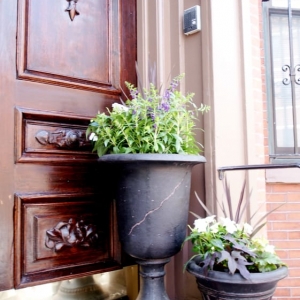 Quincy Boston Property Ventures