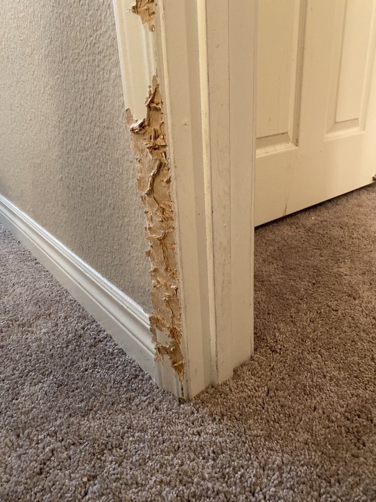 Photo of Trusted Handyman LV