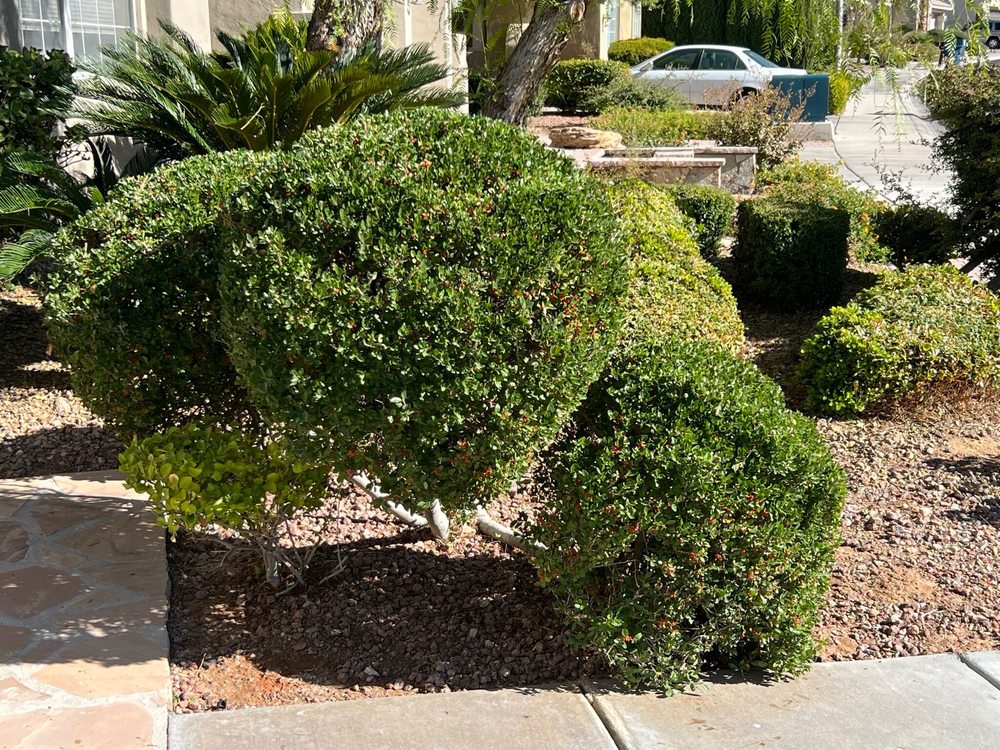 Photo of Bullseye Outdoor Services