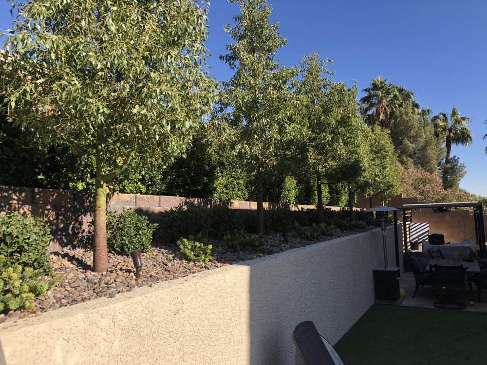 Photo of Bullseye Outdoor Services