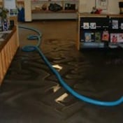 Photo of Precision Carpet Care