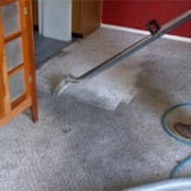 Photo of Precision Carpet Care