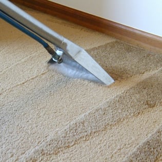 Photo of Precision Carpet Care