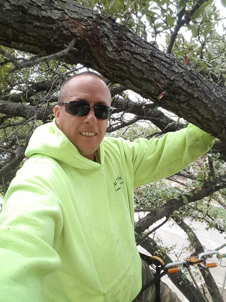 Photo of At Your Request Landscaping and Tree Service
