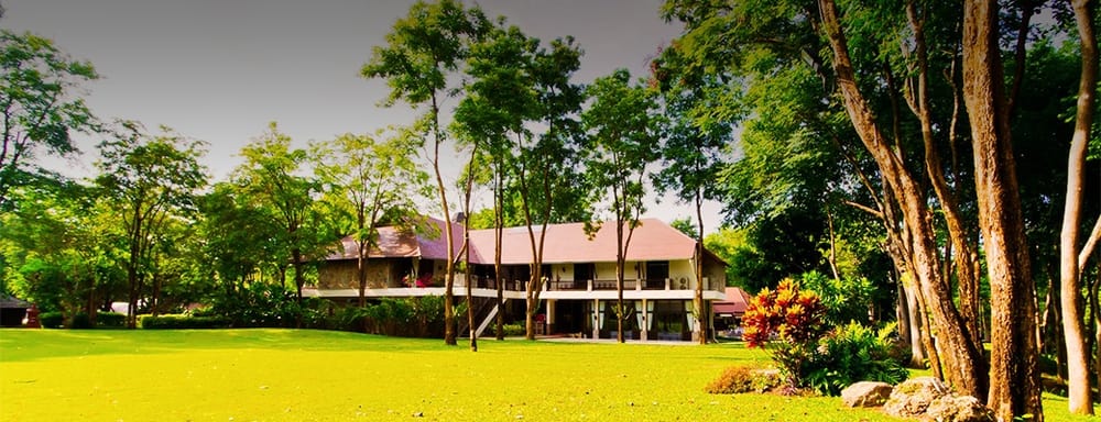 Photo of Mansell Landscape Management