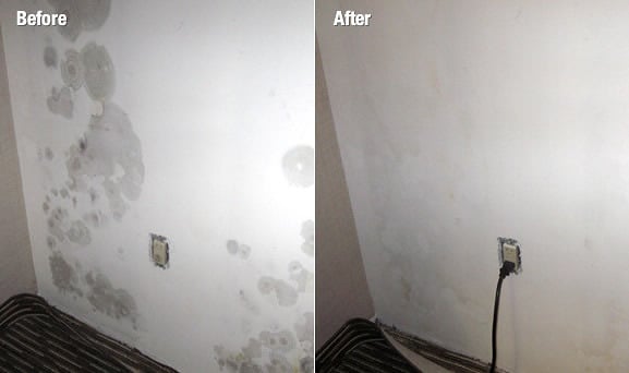 Photo of Advanced Mold Solutions