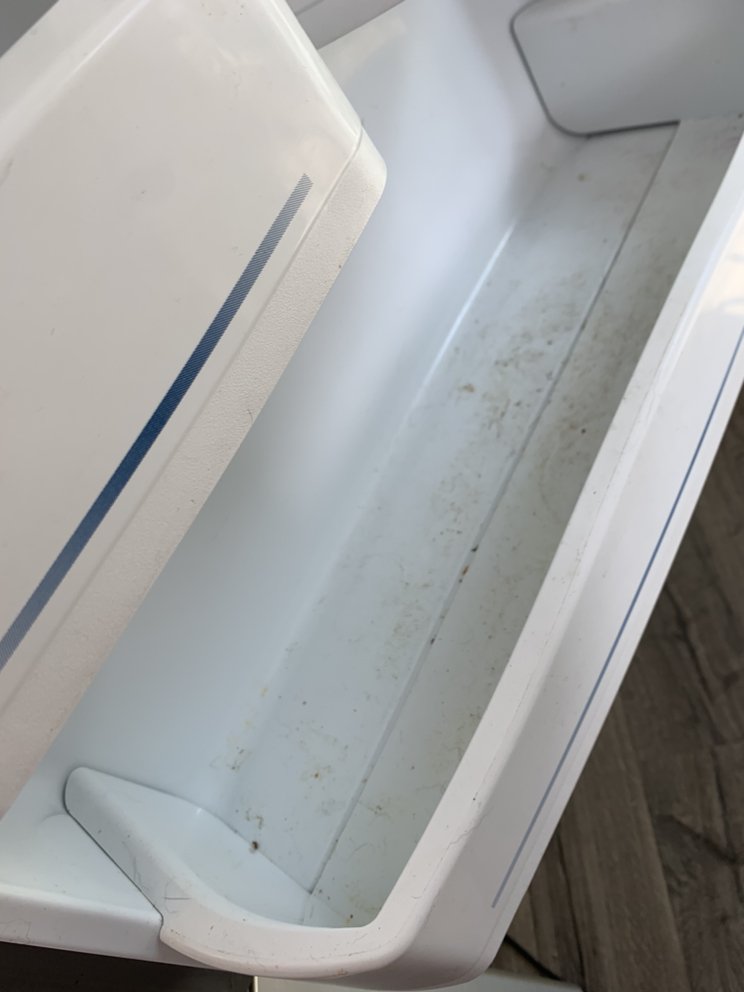 Photo of Ramirez Housekeeper