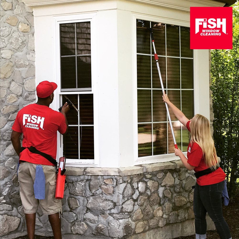 Photo of Fish Window Cleaning