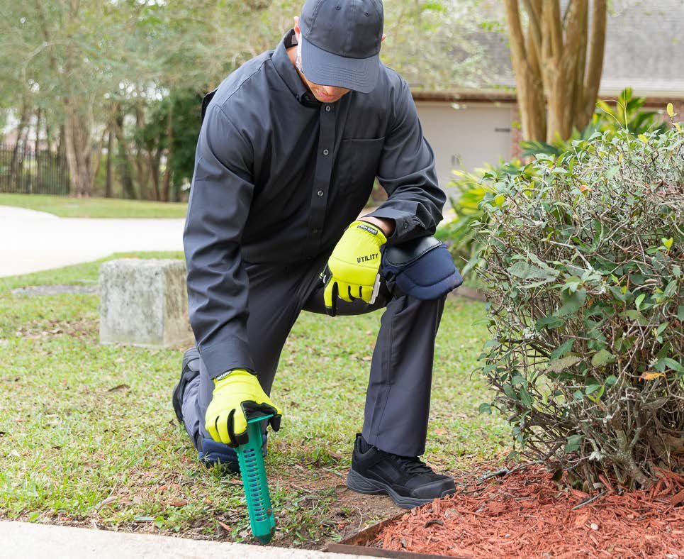 Photo of Active Pest Control
