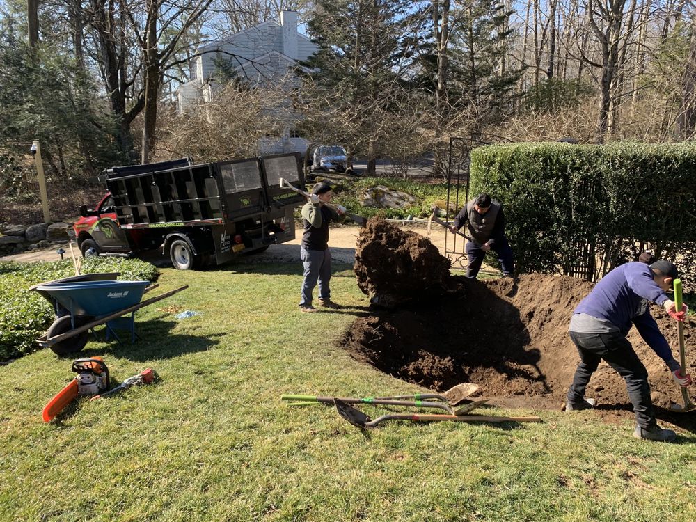 Photo of Raul Martinez Landscaping